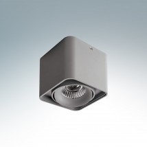Потолочный светильник Lightstar Monocco 052119