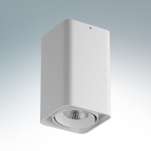 Потолочный светильник Lightstar Monocco 052136