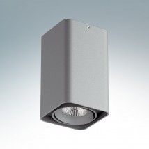 Потолочный светильник Lightstar Monocco 052139
