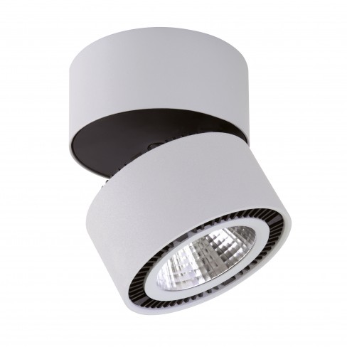 Накладной светильник Lightstar Forte Muro 214839